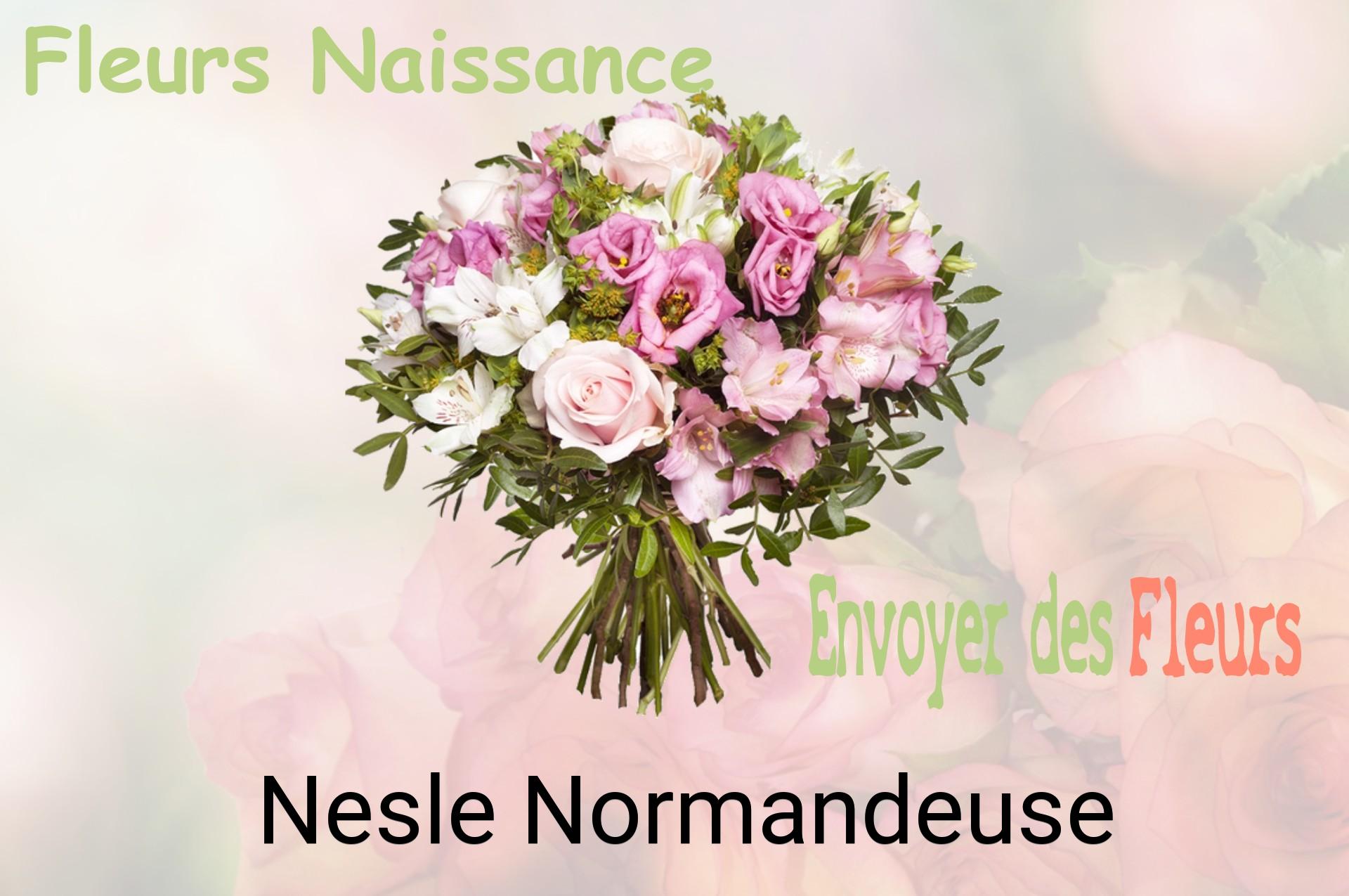 Bouquet de fleurs de naissance livré à Nesle-Normandeuse