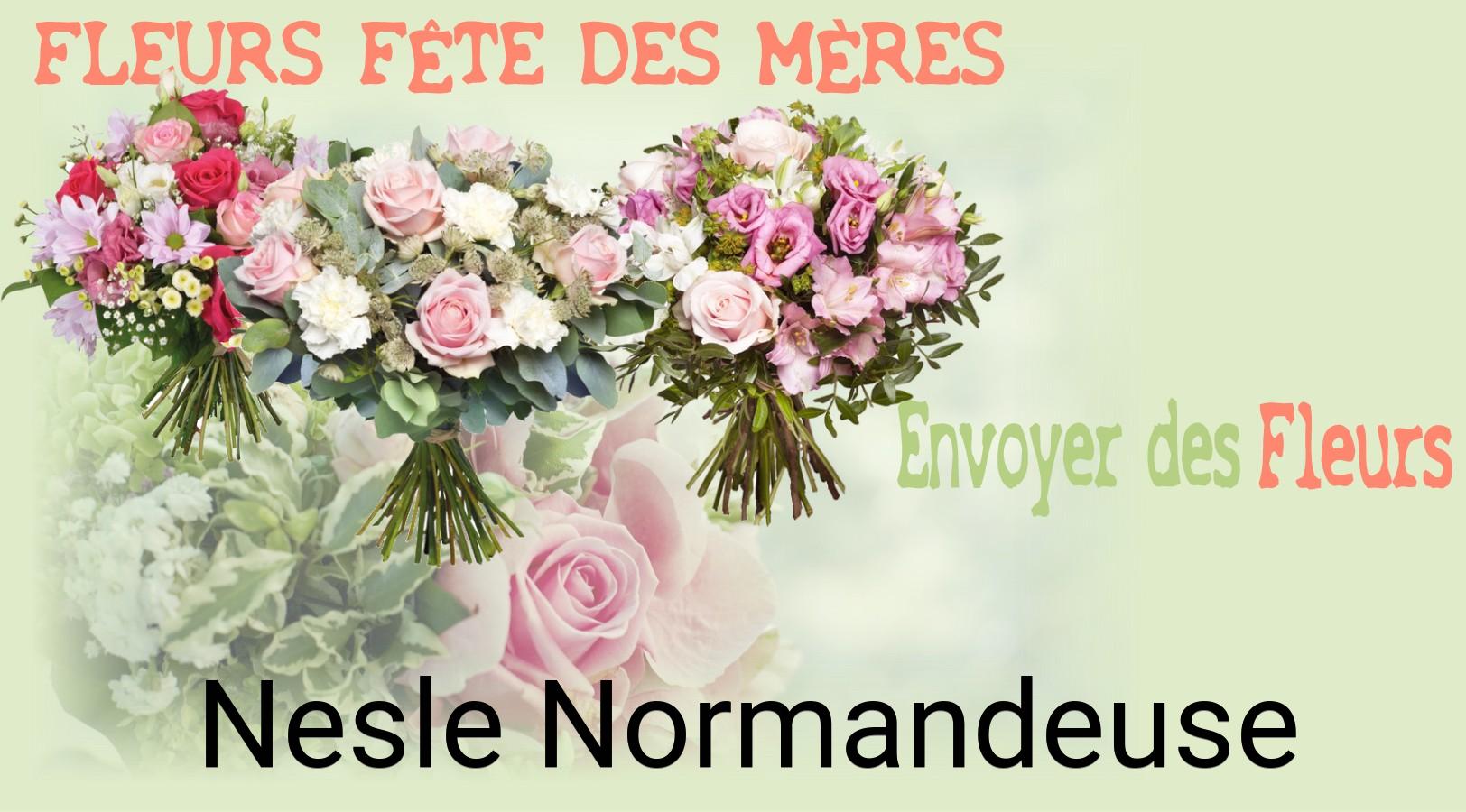 Bouquet de Fête des Mères livré à Nesle-Normandeuse